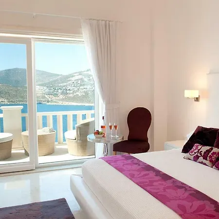 Sleeps 16 Villa *