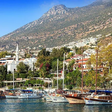 Villa Sleeps 16